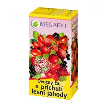Megafyt Ovocný čaj s příchutí lesní jahody n.s.20x