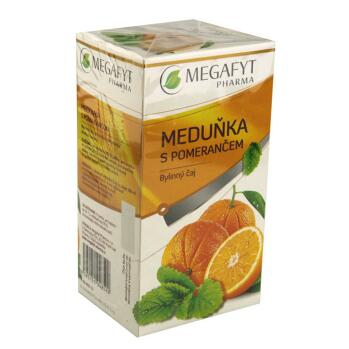 MEGAFYT Ovocný Meduňka s pomerančem 20x2 g