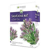 MEGAFYT Šalvějová nat´ 30g
