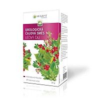MEGAFYT Urologická čajová směs 20 sáčků I