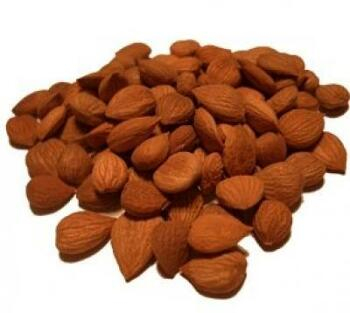 Meruňková jádra BIO sladká 1kg ()