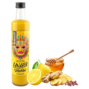 MIXIT Ginger shaman zázvorový nápoj 500 g (Sirupy a šťávy) - Přírodní