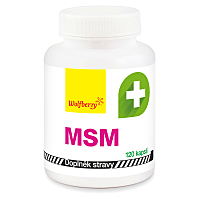 WOLFBERRY MSM 120 kapslí