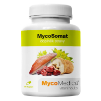 MYCOMEDICA MycoSomat 90 kapslí