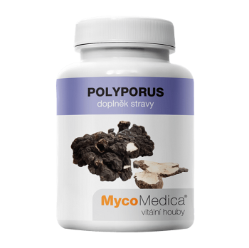 MYCOMEDICA Polyporus 90 rostlinných veganských kapslí