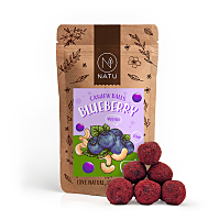 NATU Borůvkové kuličky s kešu krémem 70 g