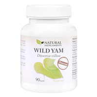 NATURAL MEDICAMENTS Wild Yam Premium 90 kapslí