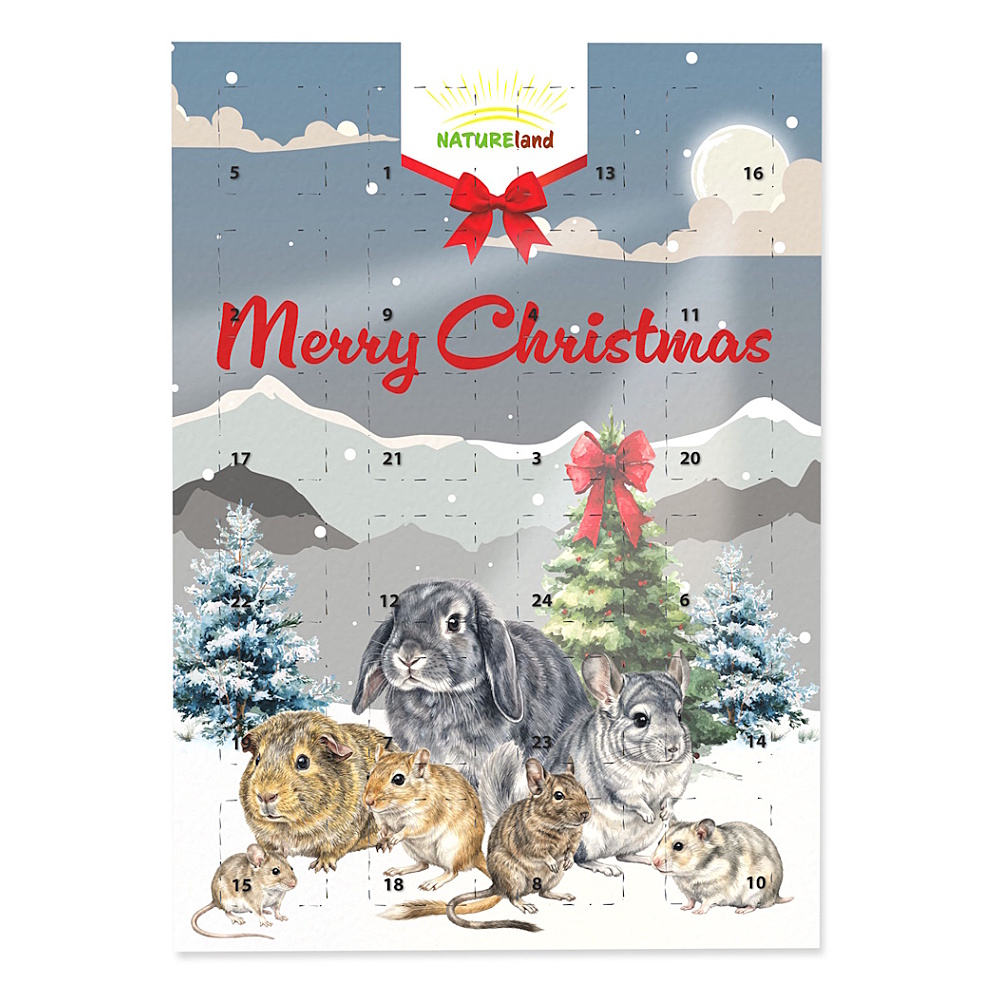 Adventní kalendář NATURE LAND 360 g