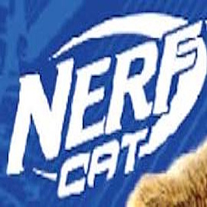 NERF CAT