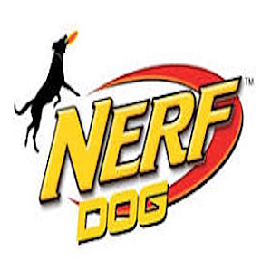 NERF DOG