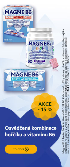 Magne B6 sleva 15 %