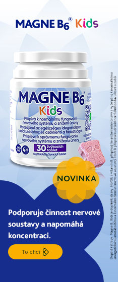 Magne B6 se slevou