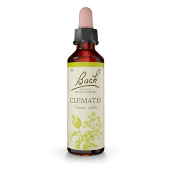 ORIGINAL BACH® Clematis 20 ml