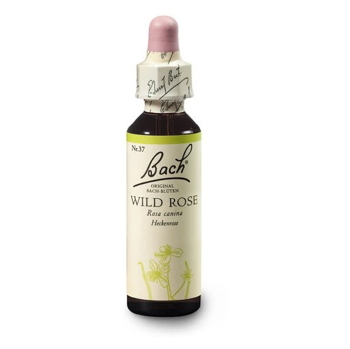 ORIGINAL BACH® Wild rose 20 ml (Bachovy esence) - Přírodní, Jednosložkové