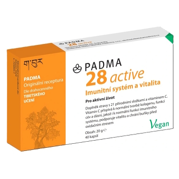 PADMA 28 Active Imunita a cévy s vitamínem C 40 kapslí (Bylinné doplňky stravy) - Přírodní