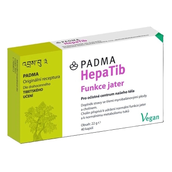 PADMA HepaTib Játra a metabolismus s cholinem 40 kapslí (Na podporu trávení a vylučování) - Vícesložkové