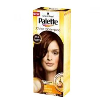 PALETTE Color shampoo 244 čokoládový hnědý