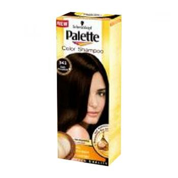 PALETTE Color shampoo 341 čokoládový
