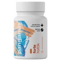 PANGAMIN Forte hořčík 90 tablet