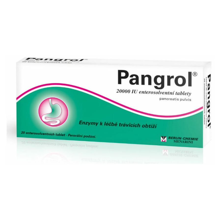 Levně PANGROL 20000 20 tablet