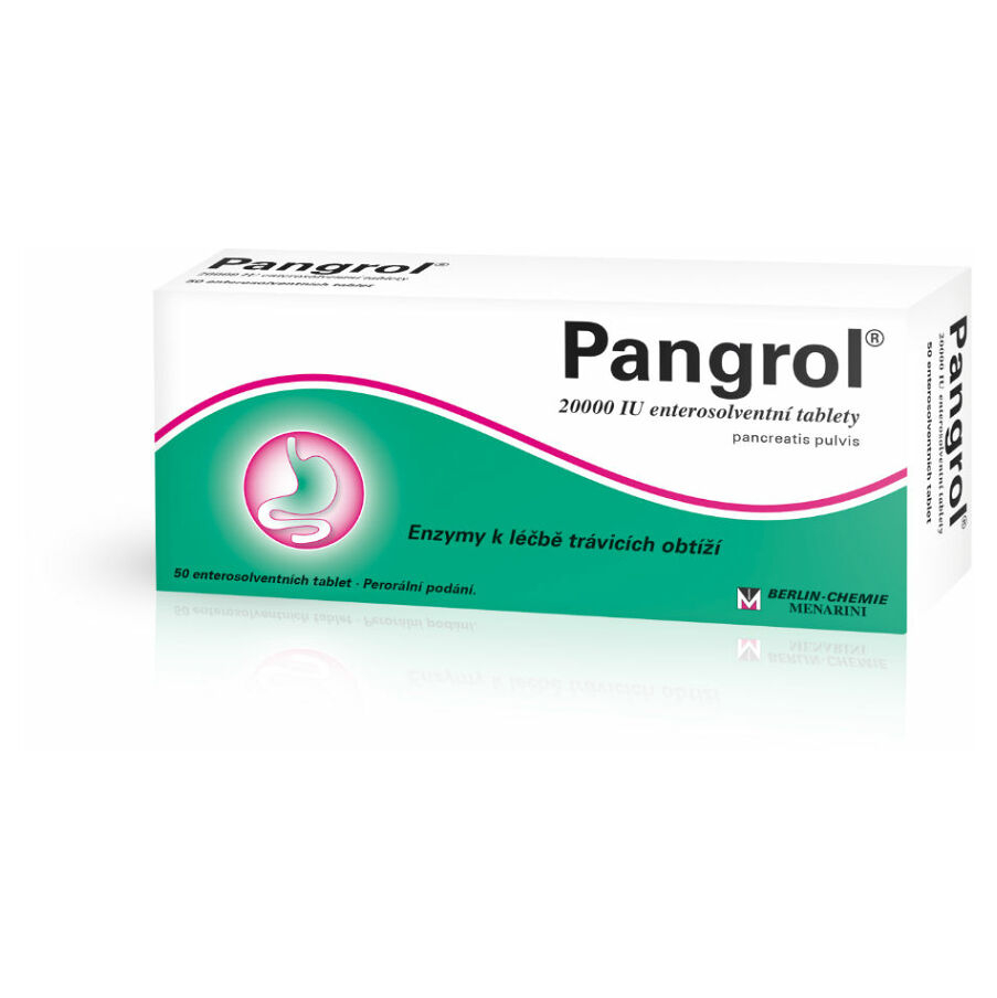 Levně PANGROL 20000 50 tablet
