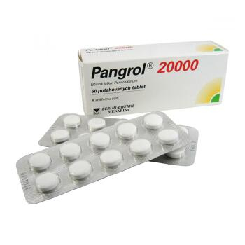 PANGROL 20000  50 Tablety