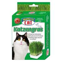 PERFECTO Cat kočičí tráva 100 g