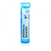 BOIRON Phytolacca Decandra CH9 4 g BOIRON Phytolacca Decandra CH9 4 g