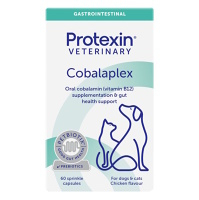 PROTEXIN Cobalaplex pro psy a  kočky 60 kapslí