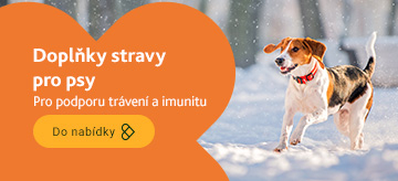 Doplňky stravy na trávení pro psy