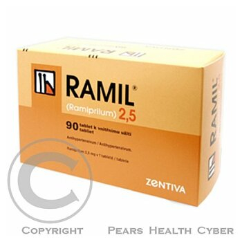 RAMIL 1,25  90X1.25MG Tablety