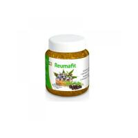 VIRDE Reumafit Kostivalový gel s jalovcem + MSM 350 ml