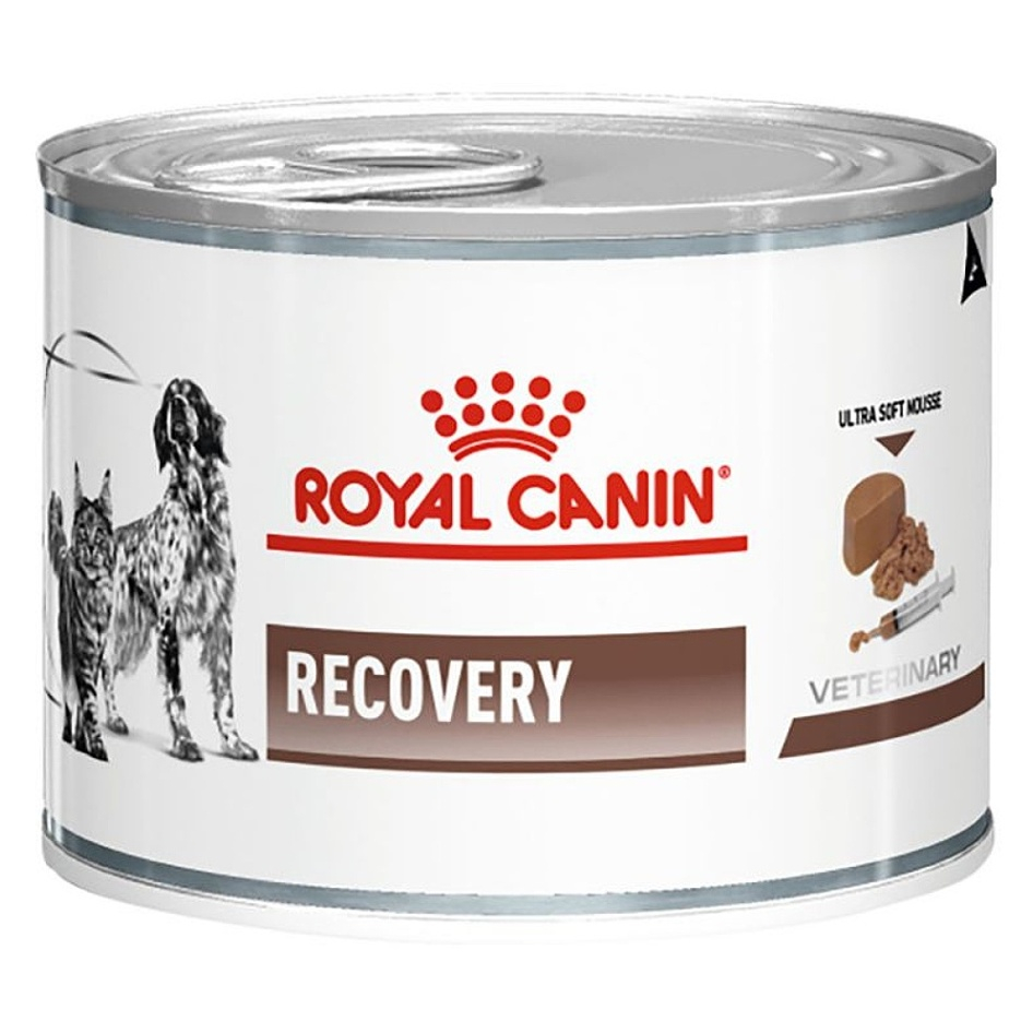 Levně ROYAL CANIN Recovery konzerva pro kočky a psy 195 g