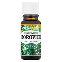 SALOOS Éterický olej Borovice 10 ml