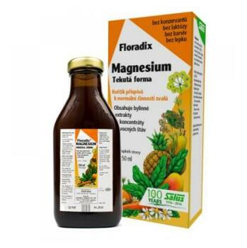 SALUS Floradix Magnesium 250 ml