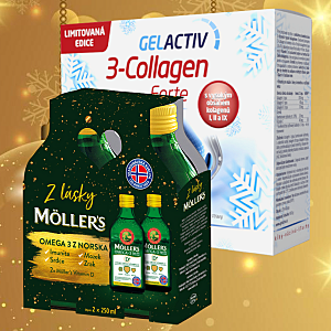 Vánoční nabídka Salutem