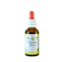 SALVIA PARADISE Pampeliška lékařská tinktura 50 ml SALVIA PARADISE Pampeliška lékařská tinktura 50 ml