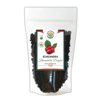 SALVIA PARADISE Schizandra klanopraška plod Dongbei 200 g SALVIA PARADISE Schizandra klanopraška plod Dongbei 200 g