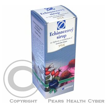GALMED Echinaceový sirup se šípkem a vitaminem C 325 g