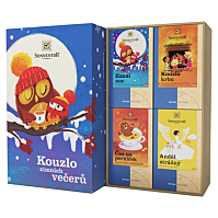 SONNENTOR Kazeta dárková čajová kouzlo zimních večerů BIO 4 kusy