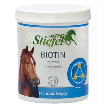 STIEFEL Biotin prášek 1 kg