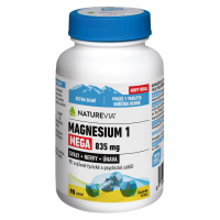 NATUREVIA Magnesium 1 Mega 835 mg 90 tablet