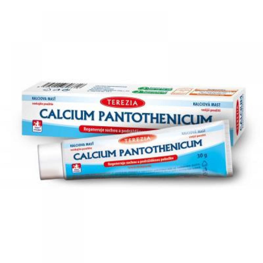 Obrázek TEREZIA Calcium pantothenicum mast 30 g