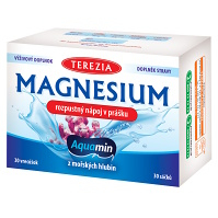 TEREZIA Magnesium rozpustný nápoj v prášku 30 x 6 g