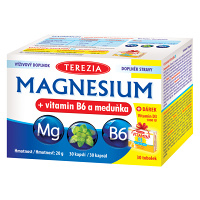 TEREZIA Magnesium + vitamin B6 a meduňka 30 kaplsí + DÁREK Vitamin D3 1000 IU 30 tobolek