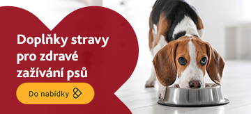 Veterinární doplňky stravy na trávení pro psy