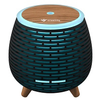 TRUELIFE D4 air diffuser
