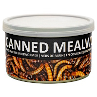 UGF moučný červ konzerva 35 g