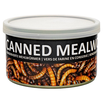 UGF moučný červ konzerva 35 g (Venkovní ptactvo)