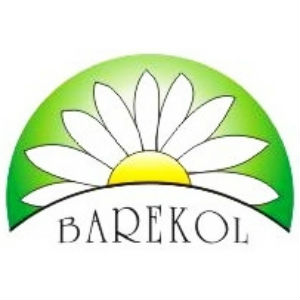 BAREKOL BAREKOL